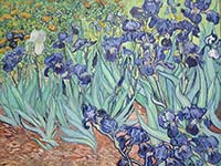 Vincent van Gogh  - Click for details